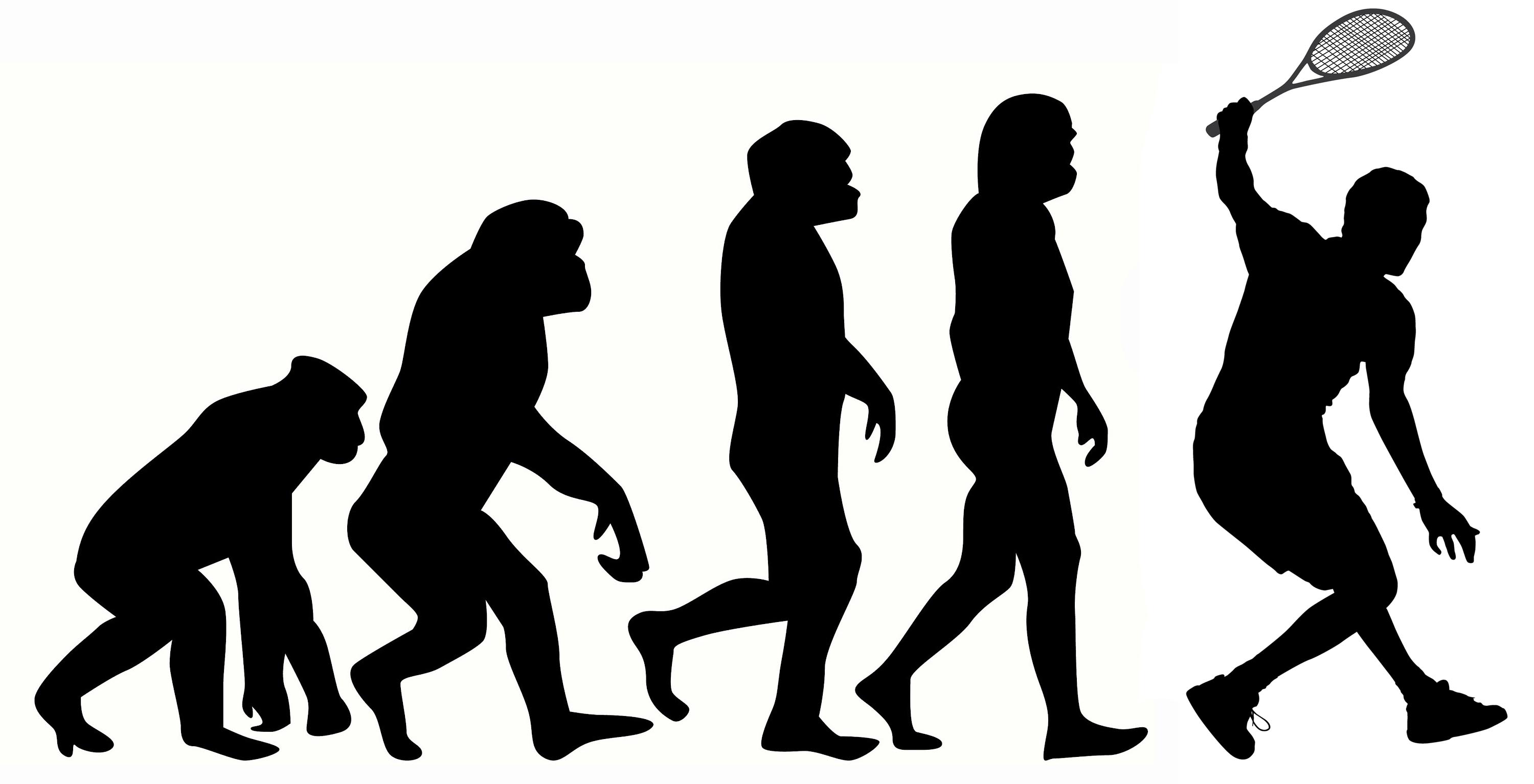 The-Squash-Evolutionary-Race